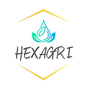 3. Hexagri