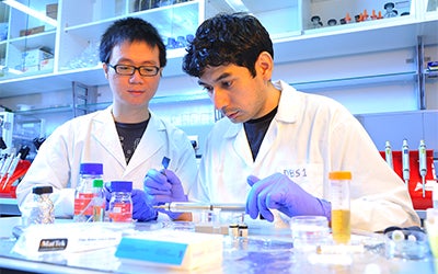 Tech translation_crop